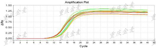 熒光定量PCR