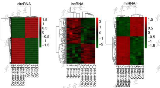 LncRNA/CircRNA/miRNA/CeRNA芯片