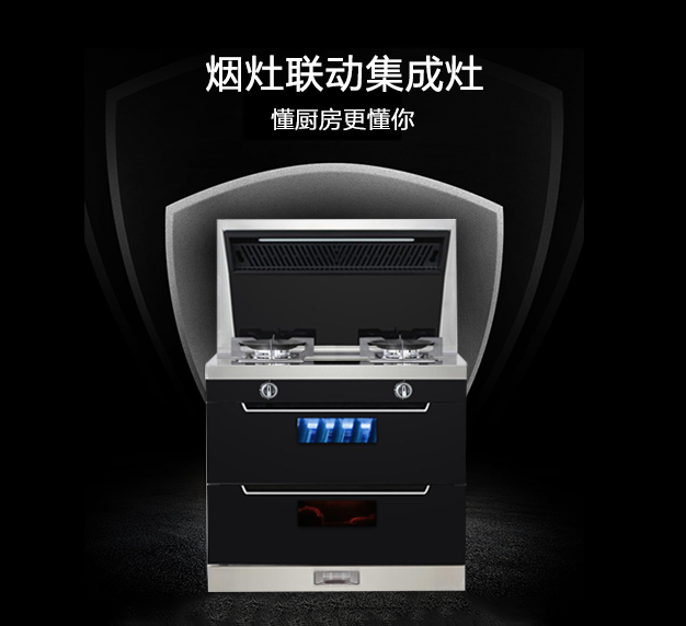 公司所生產(chǎn)銷(xiāo)售的燃?xì)庠罹弋a(chǎn)品，在行業(yè)里始終處于領(lǐng)先地位，也是灶具行業(yè)里比較突出的OEM制造企業(yè)